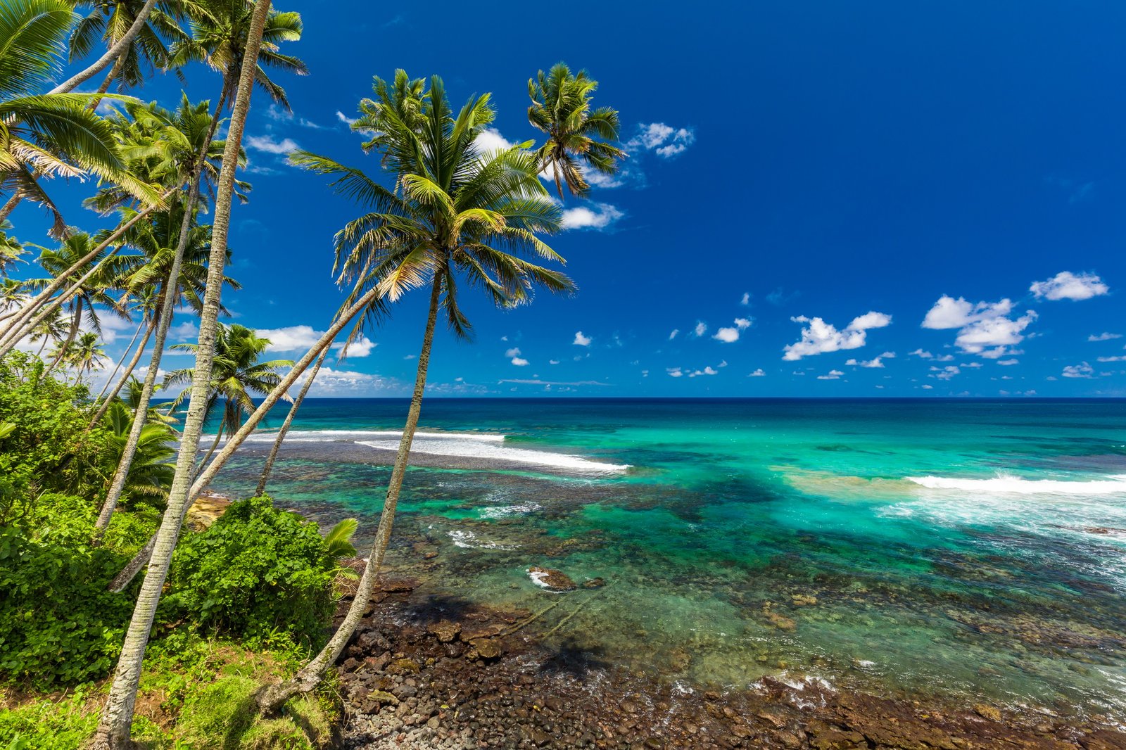 Tropical beach on south side of Samoa Island with coconut palm trees